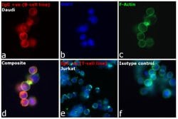 Invitrogen&trade;&nbsp;F(ab')2-Goat anti-Human IgG, IgM, IgA (H+L) Secondary Antibody, TRITC