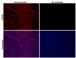 Invitrogen CD79a Monoclonal Antibody (HM47), Alexa Fluor 647 100 Tests;