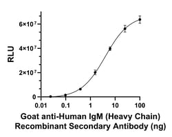 Invitrogen Goat anti-Human IgM (Heavy chain) Recombinant Secondary Antibody 50 &mu;L | Buy Online | Invitrogen&trade; | Fisher Scientific