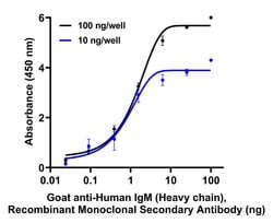 Invitrogen Goat anti-Human IgM (Heavy chain) Recombinant Secondary Antibody 50 &mu;L | Buy Online | Invitrogen&trade; | Fisher Scientific