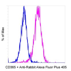 Invitrogen Goat anti-Rabbit IgG (Heavy chain) Superclonal Secondary Antibody, Alexa Fluor Plus 405 250 &mu;L | Buy Online | Invitrogen&trade; | Fisher Scientific