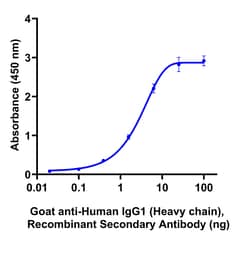 Invitrogen Goat anti-Human IgG1 (Heavy chain) Recombinant Secondary Antibody