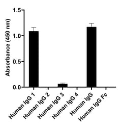 Invitrogen Goat anti-Human IgG1 (Heavy chain) Recombinant Secondary Antibody