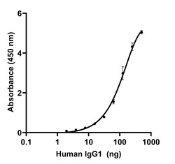 Invitrogen Goat anti-Human IgG1 (Heavy chain) Recombinant Secondary Antibody