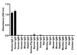Invitrogen Goat anti-Human IgG1 (Heavy chain) Recombinant Secondary Antibody