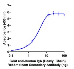 Invitrogen Goat anti-Human IgA (Heavy chain) Recombinant Secondary Antibody,