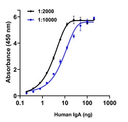 Invitrogen Goat anti-Human IgA (Heavy chain) Recombinant Secondary Antibody,