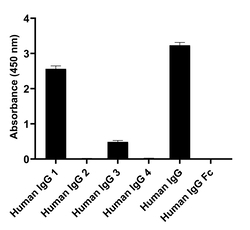 Invitrogen Goat anti-Human IgG1 (Heavy chain) Recombinant Secondary Antibody,