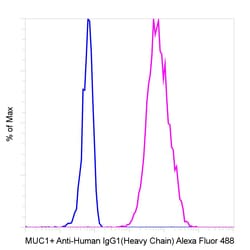 Invitrogen Goat anti-Human IgG1 (Heavy chain) Recombinant Secondary Antibody,