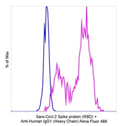 Invitrogen Goat anti-Human IgG1 (Heavy chain) Recombinant Secondary Antibody,