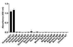 Invitrogen Goat anti-Human IgG1 (Heavy chain) Recombinant Secondary Antibody,
