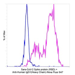 Invitrogen Goat anti-Human IgG1 (Heavy chain) Recombinant Secondary Antibody,