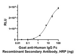Invitrogen Goat anti-Human IgG Fc Recombinant Secondary Antibody, HRP 250