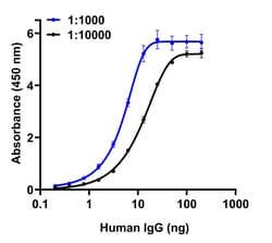 Invitrogen Goat anti-Human IgG Fc Recombinant Secondary Antibody, HRP 250