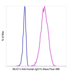 Invitrogen Goat anti-Human IgG Fc Recombinant Secondary Antibody, Alexa