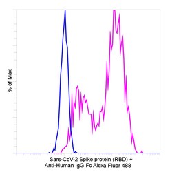 Invitrogen Goat anti-Human IgG Fc Recombinant Secondary Antibody, Alexa