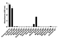 Invitrogen Goat anti-Human IgG Fc Recombinant Secondary Antibody, Alexa