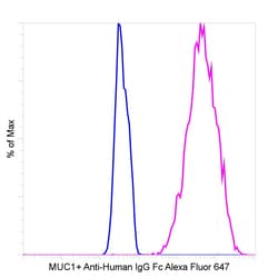 Invitrogen Goat anti-Human IgG Fc Recombinant Secondary Antibody, Alexa