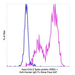 Invitrogen Goat anti-Human IgG Fc Recombinant Secondary Antibody, Alexa