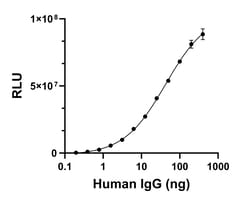 Invitrogen Goat anti-Human IgG (H+L) Superclonal Secondary Antibody 50