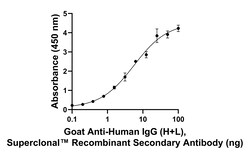 Invitrogen Goat anti-Human IgG (H+L) Superclonal Secondary Antibody 50