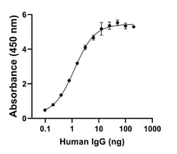 Invitrogen Goat anti-Human IgG (H+L) Superclonal Secondary Antibody 50