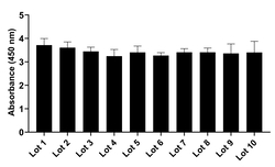 Invitrogen Goat anti-Human IgG (H+L) Superclonal Secondary Antibody 50