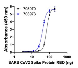 Invitrogen Goat anti-Human IgG (H+L) Superclonal Secondary Antibody, HRP