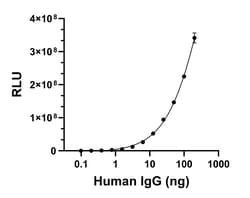 Invitrogen Goat anti-Human IgG (H+L) Superclonal Secondary Antibody, HRP