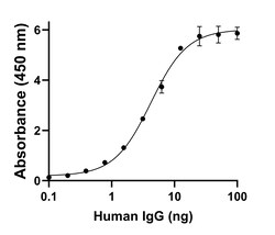 Invitrogen Goat anti-Human IgG (H+L) Superclonal Secondary Antibody, HRP