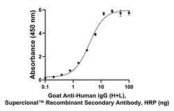 Invitrogen Goat anti-Human IgG (H+L) Superclonal Secondary Antibody, HRP