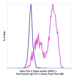 Invitrogen Goat anti-Human IgG (H+L) Superclonal Secondary Antibody, Alexa