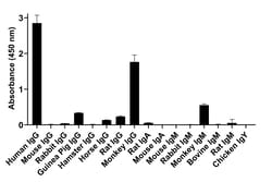 Invitrogen™ Goat anti-Human IgG (H+L) Superclonal™ Secondary Antibody, Alexa Fluor™ Plus 488