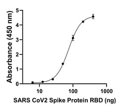 Invitrogen Goat anti-Human IgG (Heavy chain) Superclonal Secondary Antibody