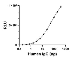 Invitrogen Goat anti-Human IgG (Heavy chain) Superclonal Secondary Antibody
