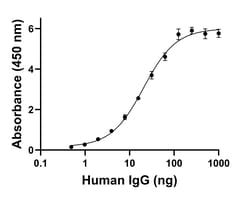 Invitrogen Goat anti-Human IgG (Heavy chain) Superclonal Secondary Antibody
