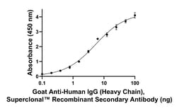 Invitrogen Goat anti-Human IgG (Heavy chain) Superclonal Secondary Antibody