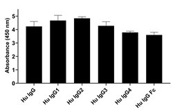 Invitrogen Goat anti-Human IgG (Heavy chain) Superclonal Secondary Antibody