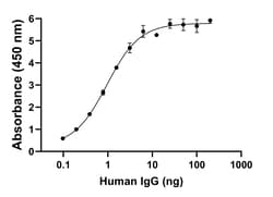 Invitrogen Goat anti-Human IgG (Heavy chain) Superclonal Secondary Antibody