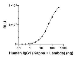 Invitrogen Goat anti-Human IgG (Light chain) Superclonal Secondary Antibody