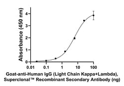 Invitrogen Goat anti-Human IgG (Light chain) Superclonal Secondary Antibody