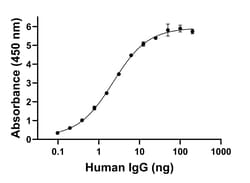 Invitrogen Goat anti-Human IgG (Light chain) Superclonal Secondary Antibody