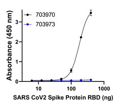 Invitrogen Goat anti-Human IgG (Kappa light chain) Recombinant Secondary