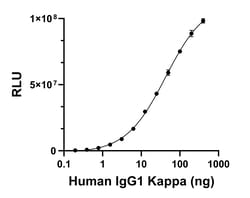 Invitrogen Goat anti-Human IgG (Kappa light chain) Recombinant Secondary