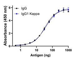 Invitrogen Goat anti-Human IgG (Kappa light chain) Recombinant Secondary