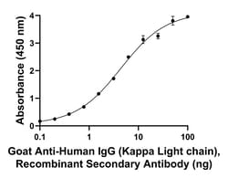 Invitrogen Goat anti-Human IgG (Kappa light chain) Recombinant Secondary