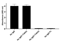 Invitrogen Goat anti-Human IgG (Kappa light chain) Recombinant Secondary
