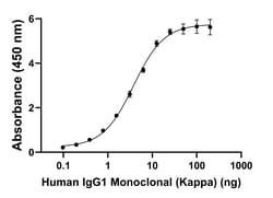 Invitrogen Goat anti-Human IgG (Kappa light chain) Recombinant Secondary