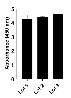 Invitrogen Goat anti-Human IgG (Lambda light chain) Recombinant Secondary