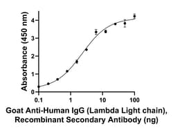 Invitrogen Goat anti-Human IgG (Lambda light chain) Recombinant Secondary